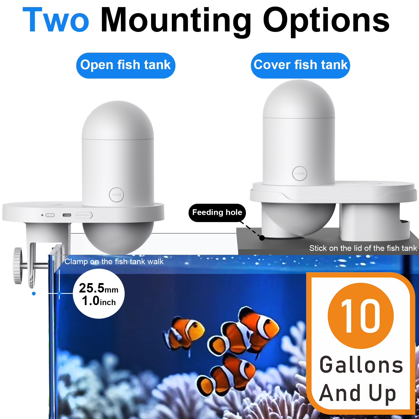 Automatic Fish Feeder With Cam – Fishing Line Dispenser recenzja i cena