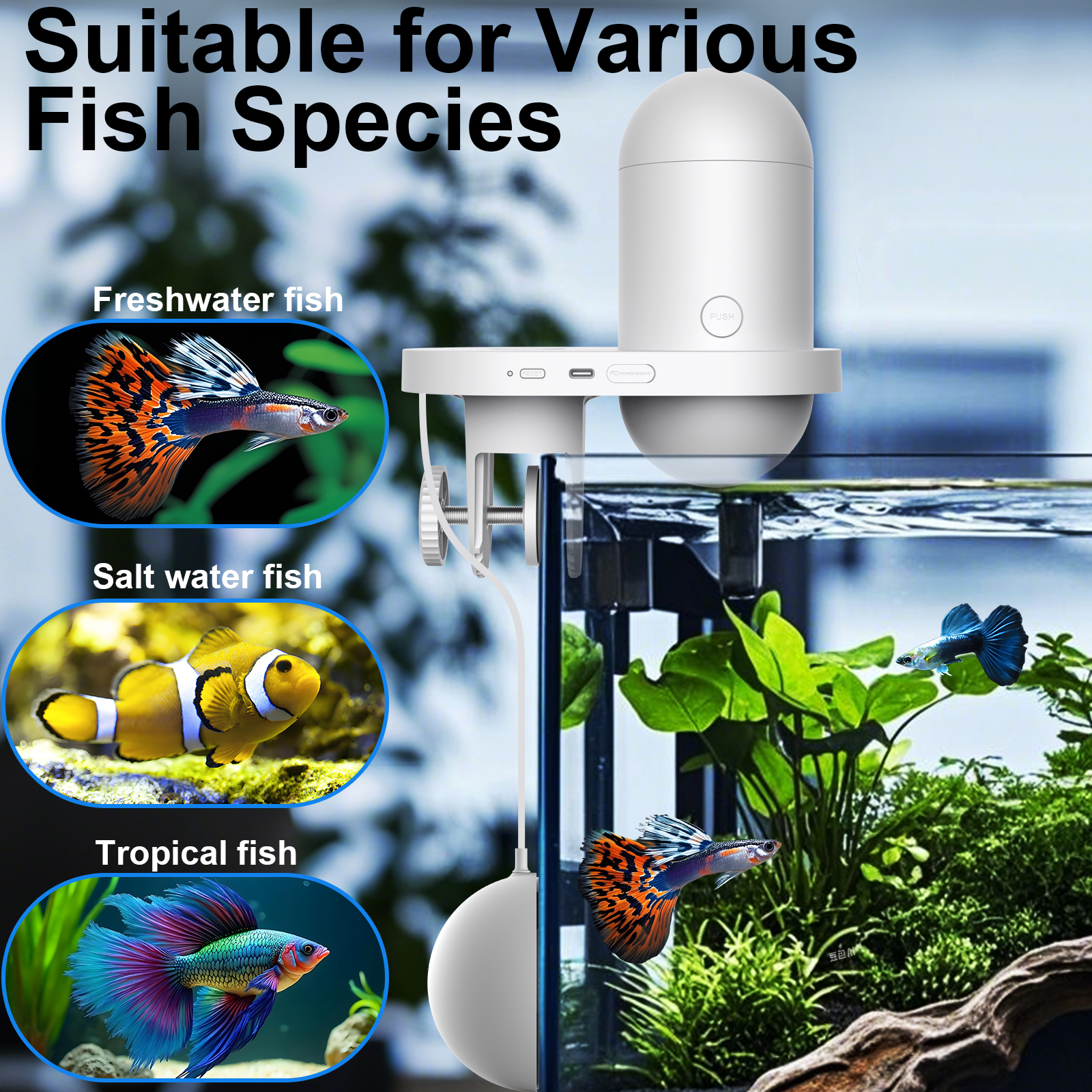 Automatic Fish Feeder With Cam – Fishing Line Dispenser recenzja i cena