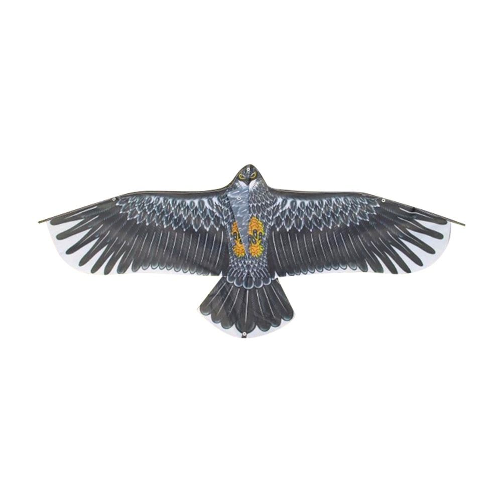 1.1m Eagle Kite With 30m Kite  – Fly Line recenzja i cena